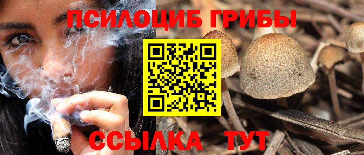 Псилоцибиновые грибы MAGIC MUSHROOMS  Вход с VPN  Керчь 